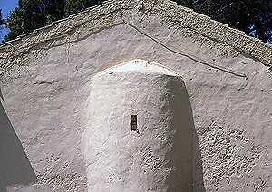 LEICA R8, MACRO-ELMARIT-R 2,8/60